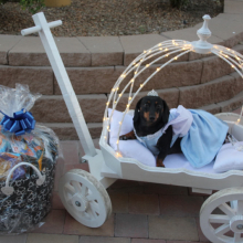Small Angel Carriage, in White - lights not included
