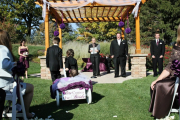 White Medium Pumpkin Wagon