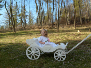 Standard White Royal Carriage